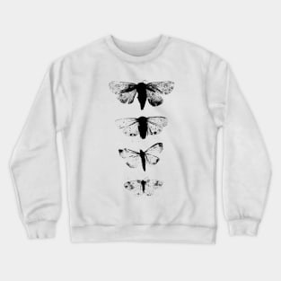 Black Moths Crewneck Sweatshirt